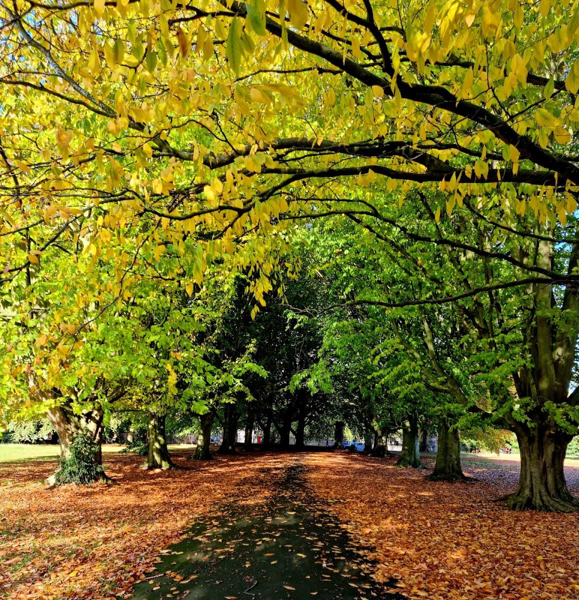 Clarke Gardens