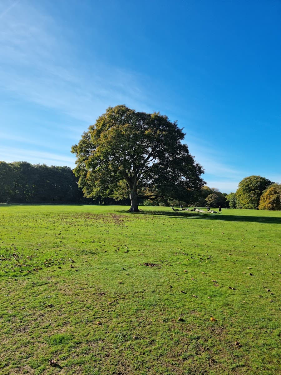 Clarke Gardens