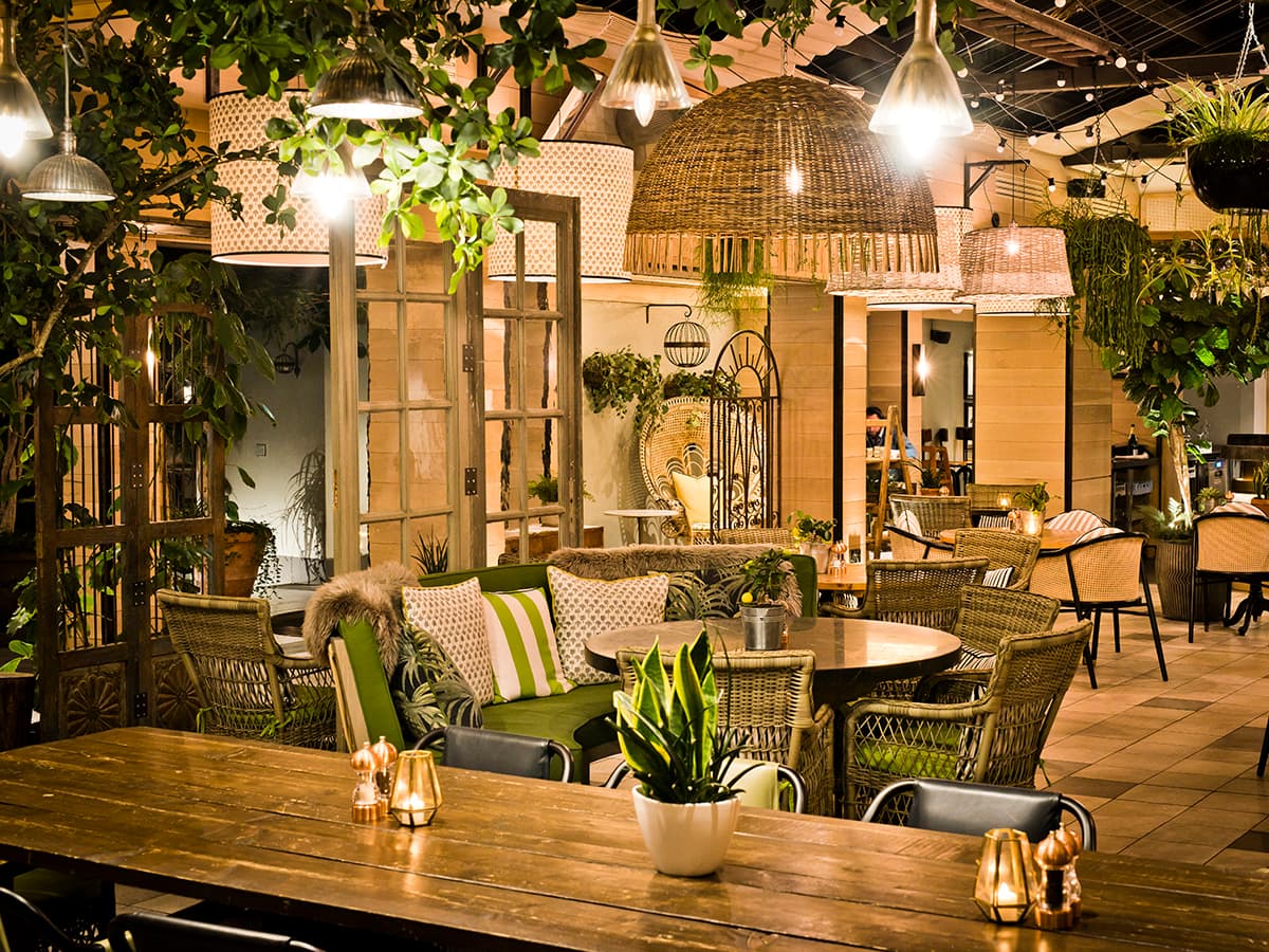 The Garden