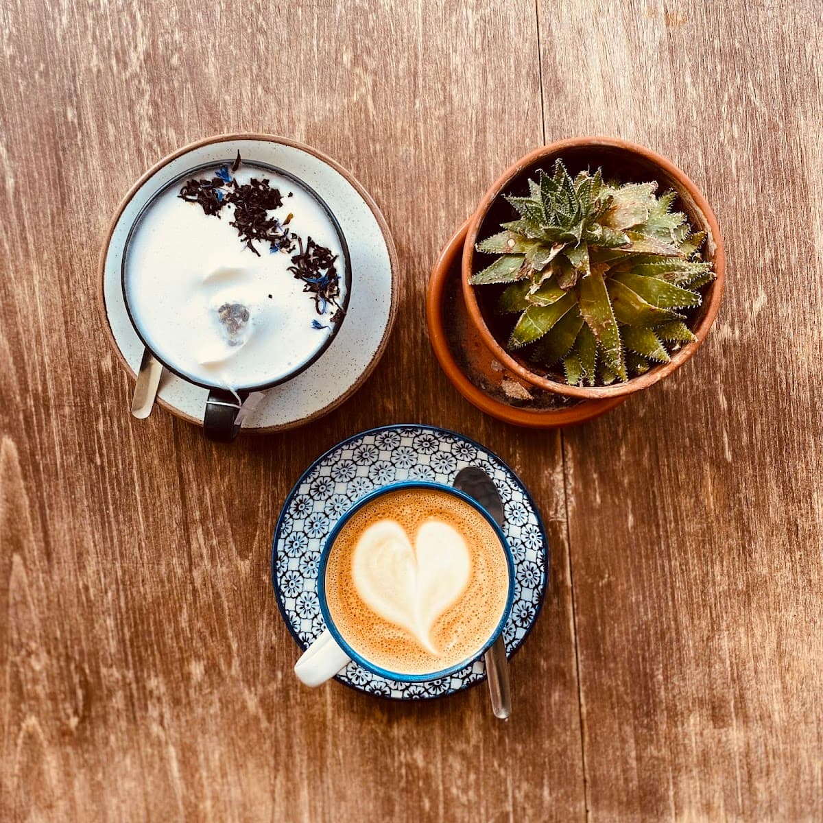 Sonder Coffee