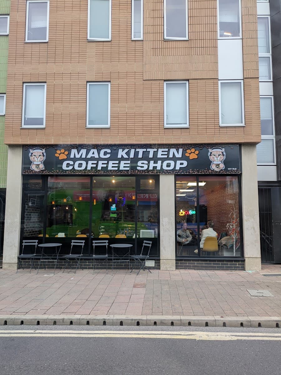 MAC KITTEN