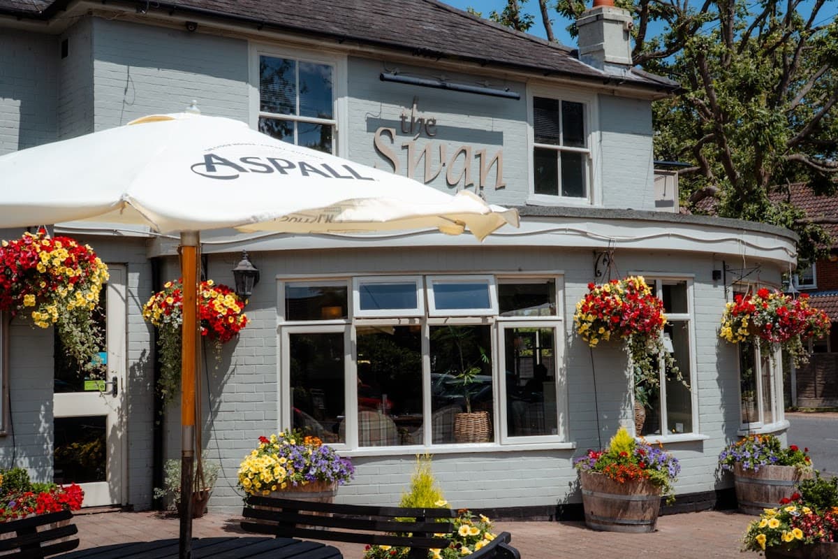 The Swan