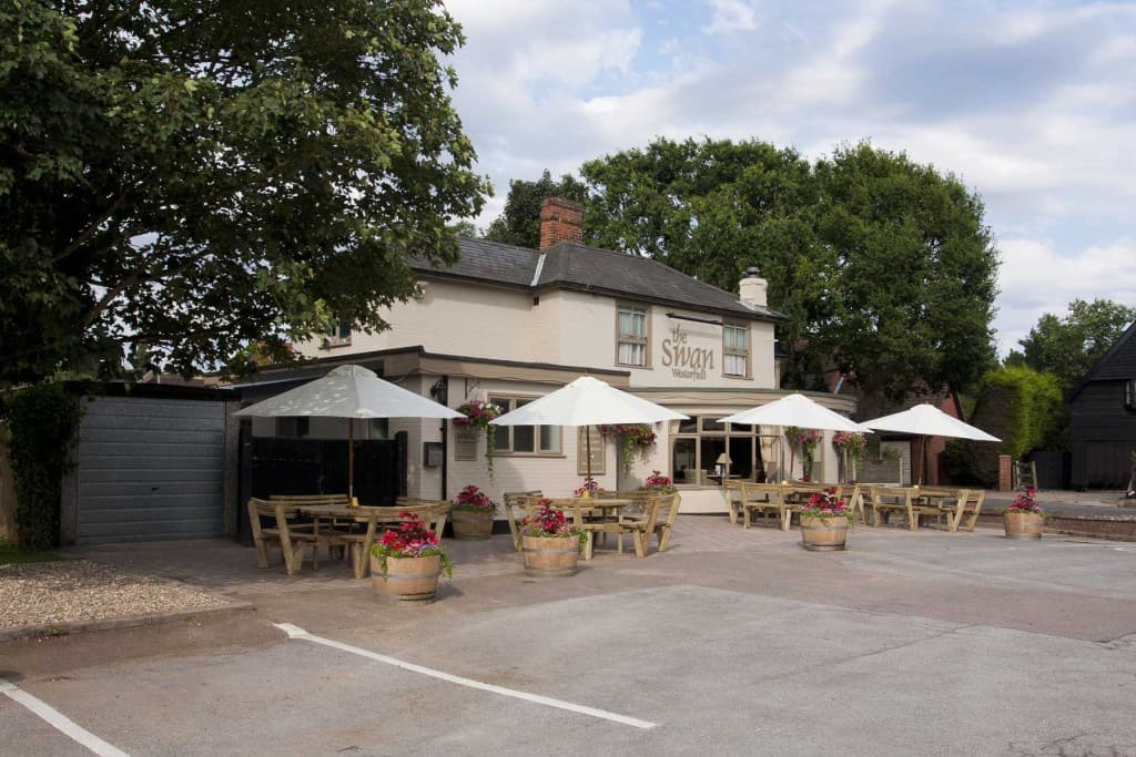 The Swan