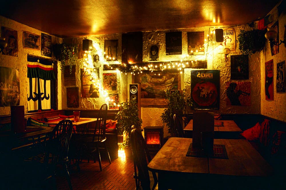 Y delyn wine bar