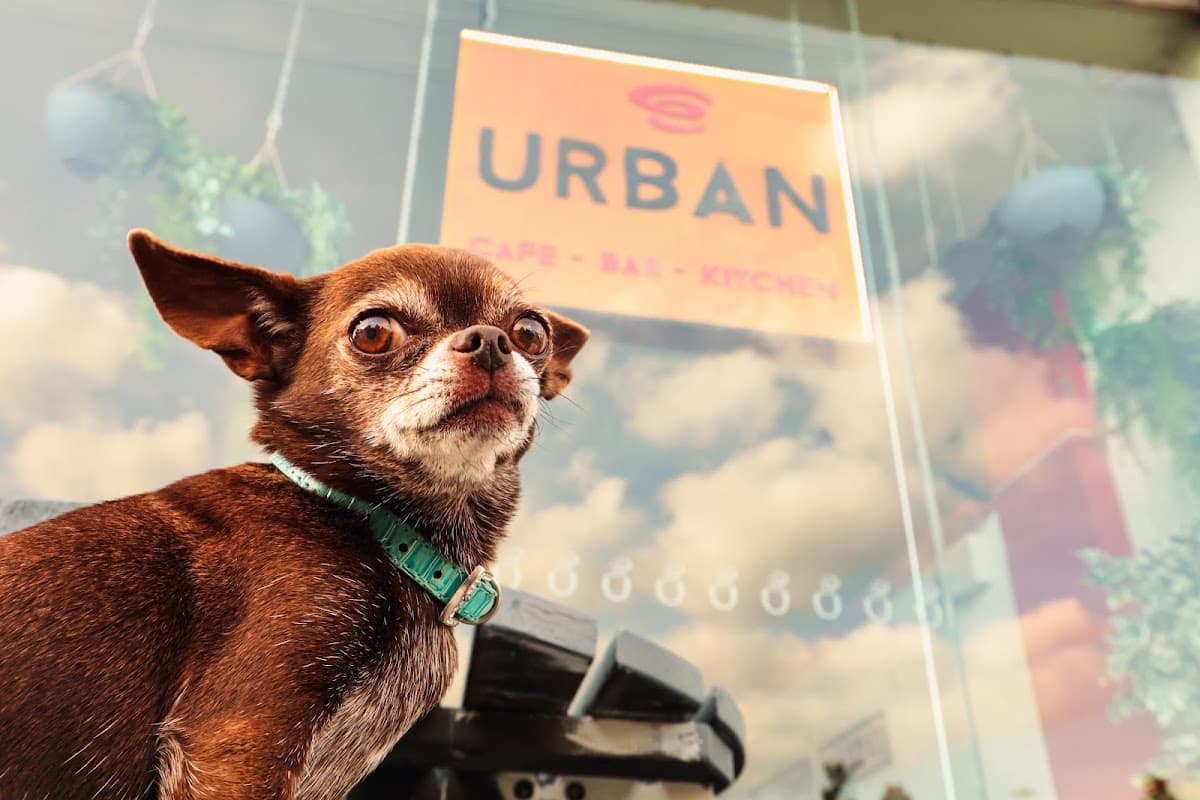 Urban Cafe / Bar / Kitchen - Jewellery Quarter