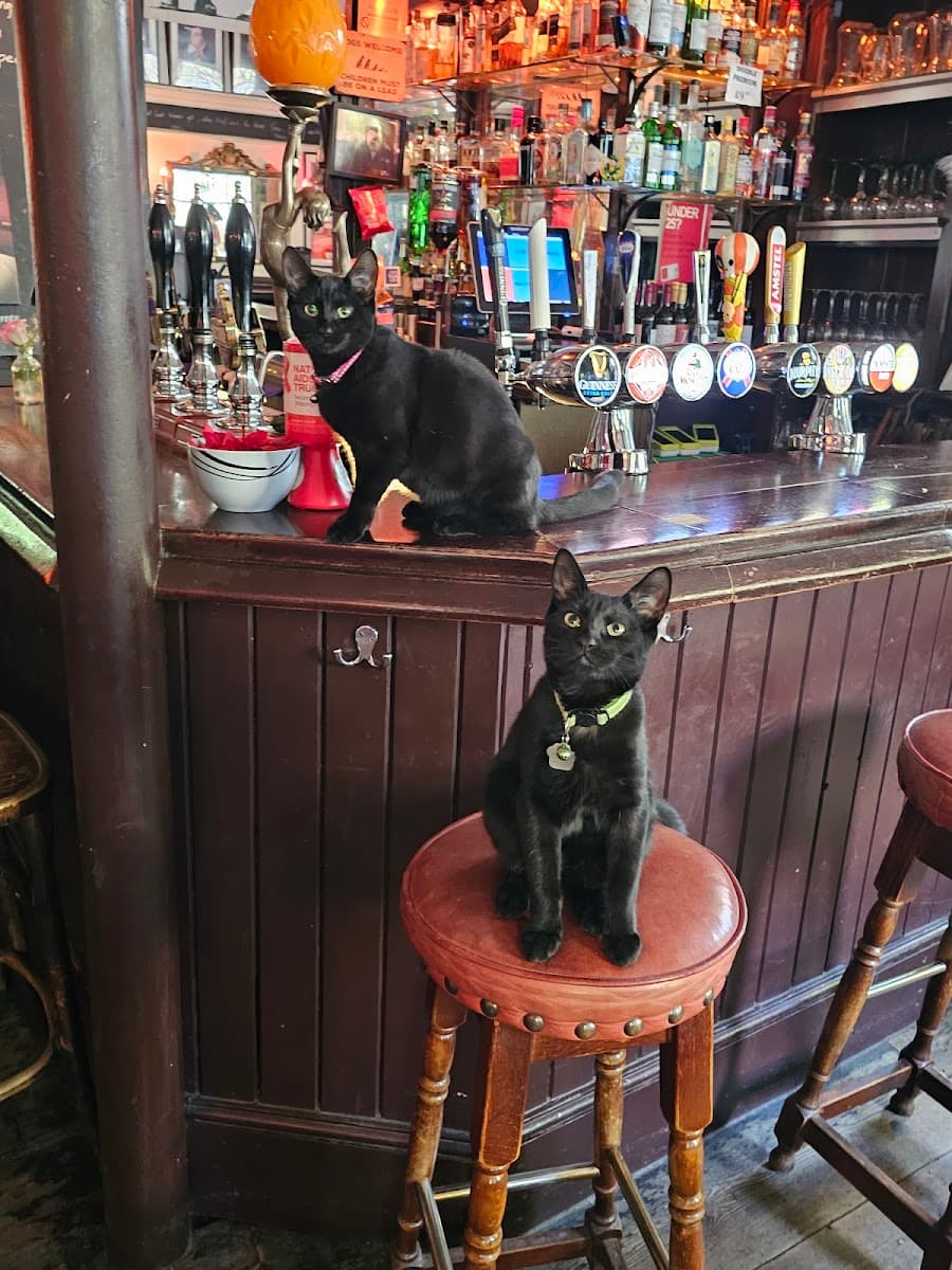 King William Ⅳ Pub & Rooms