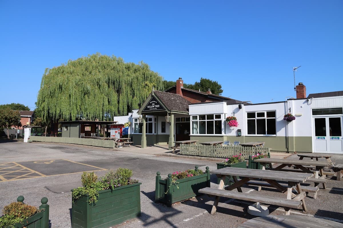 Willow Tree