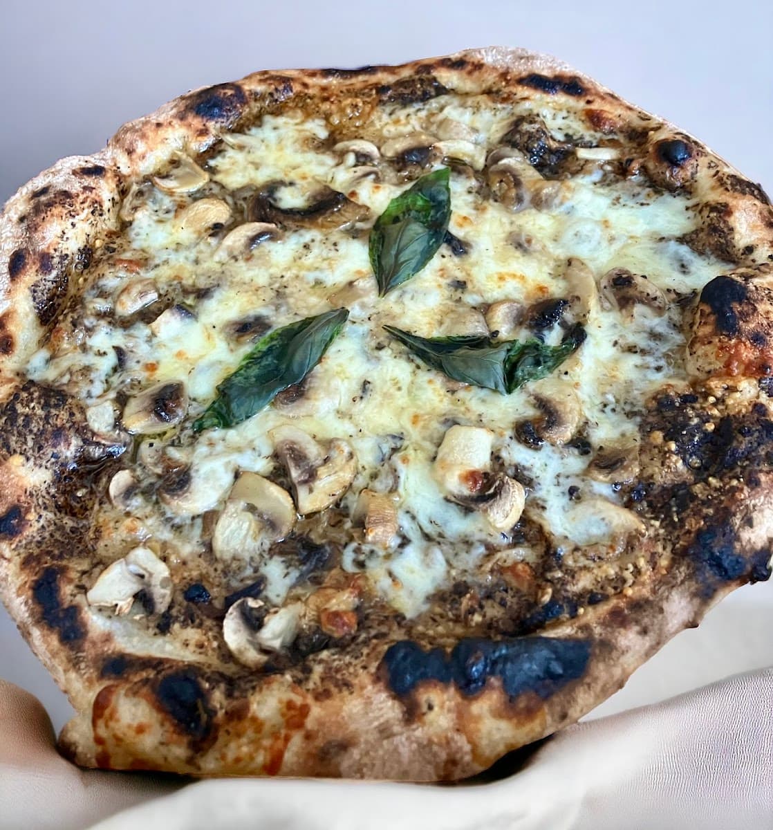 Pig and Olive, Barnstaple