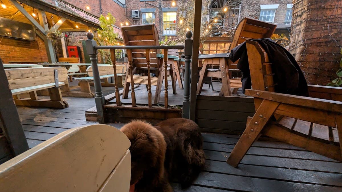 The Courtyard