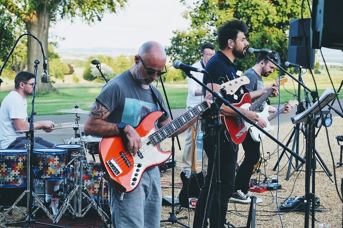 The Plectrums