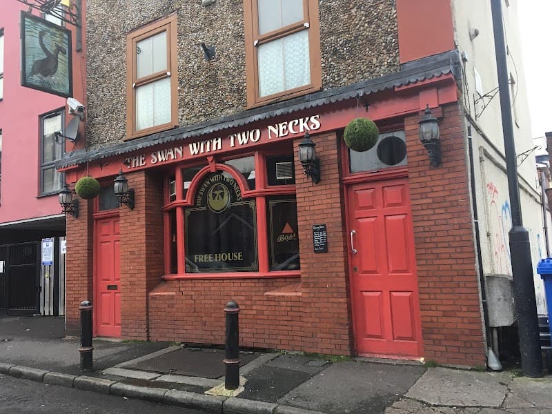 The Swan with Two Necks