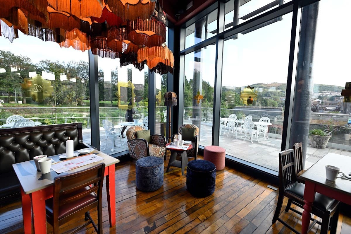 Gatto Lounge