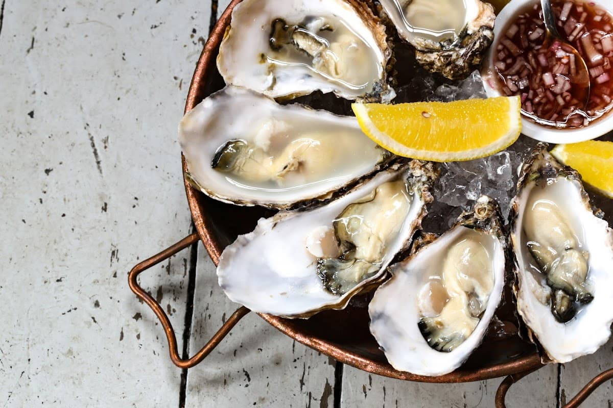 The Urchin Brewery & Shellfish Pub