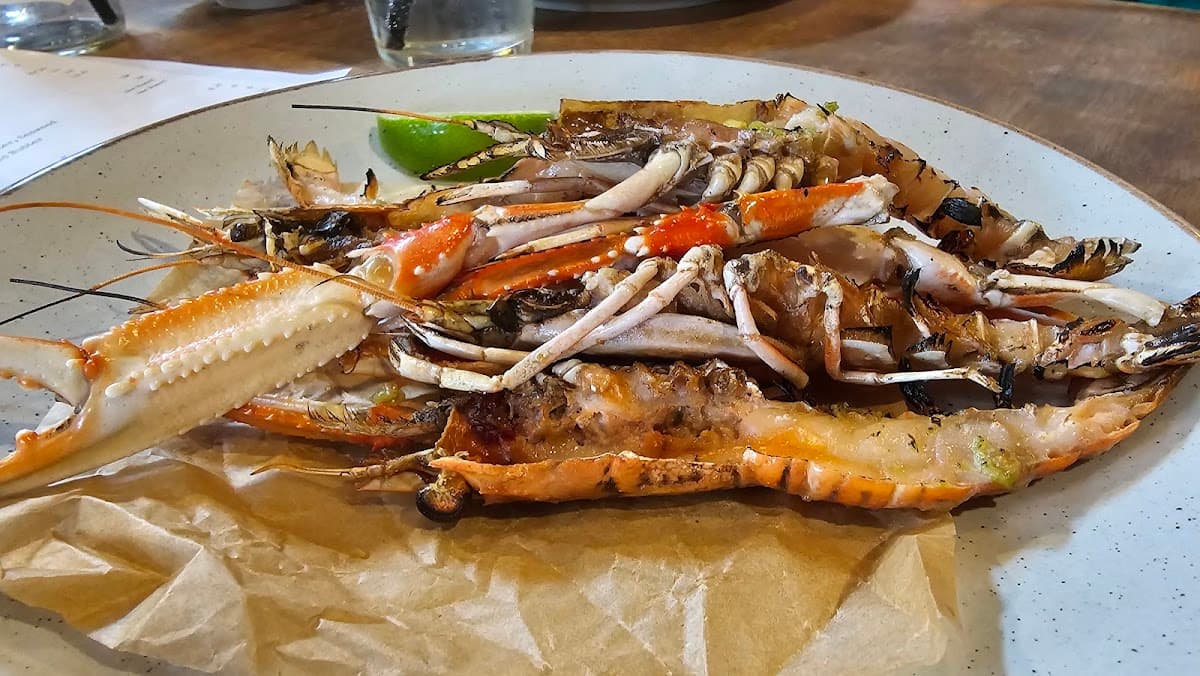 The Urchin Brewery & Shellfish Pub