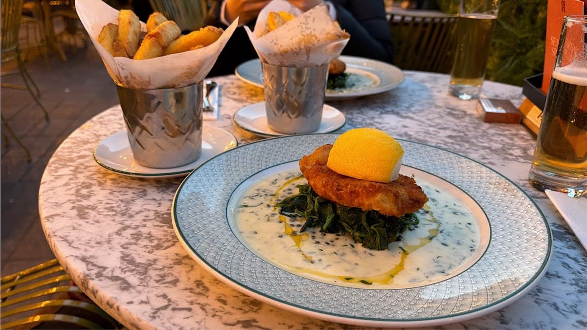 Cosy Club