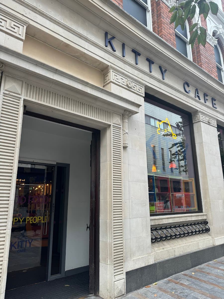 Kitty Cafe