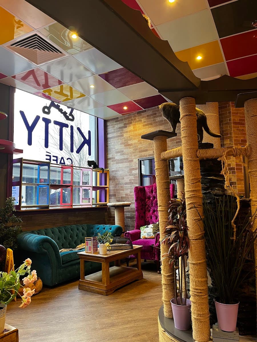 Kitty Cafe