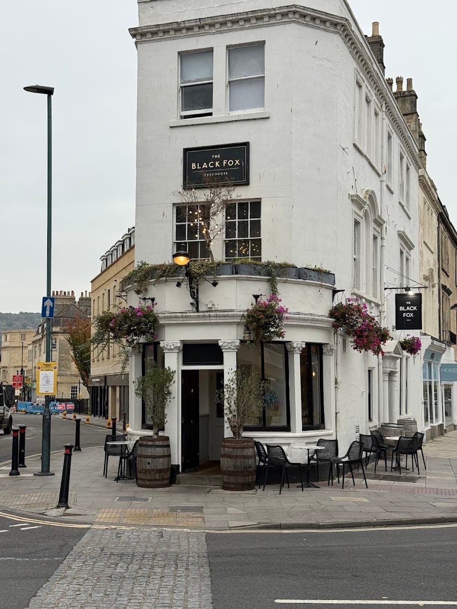 The Black Fox
