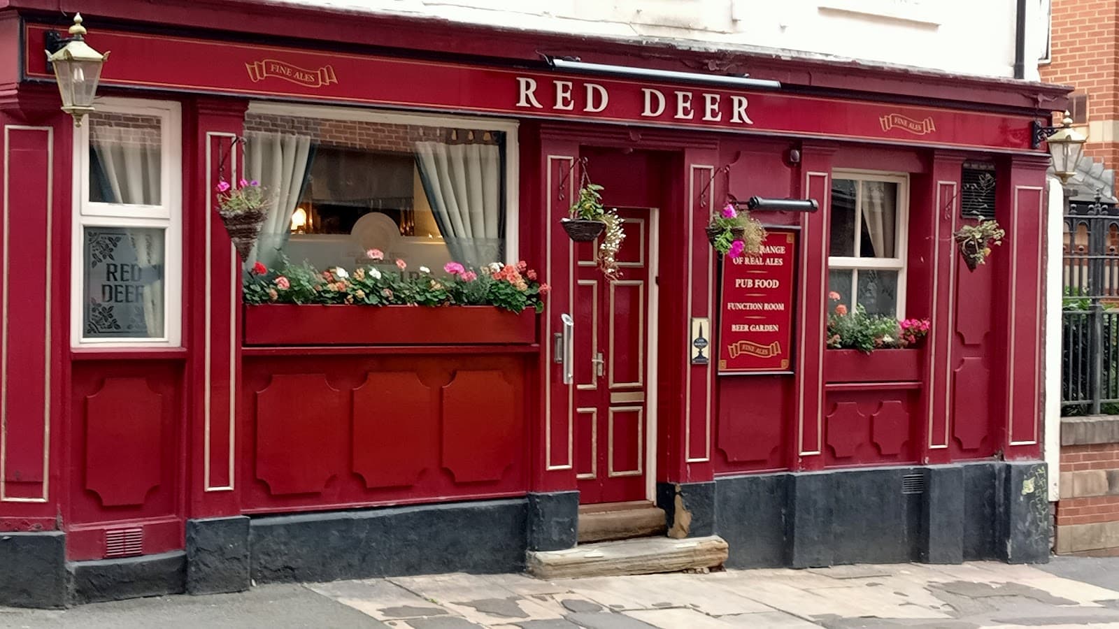 The Red Deer