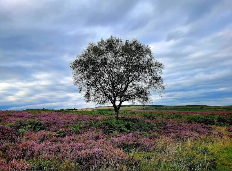 Peak District National Park