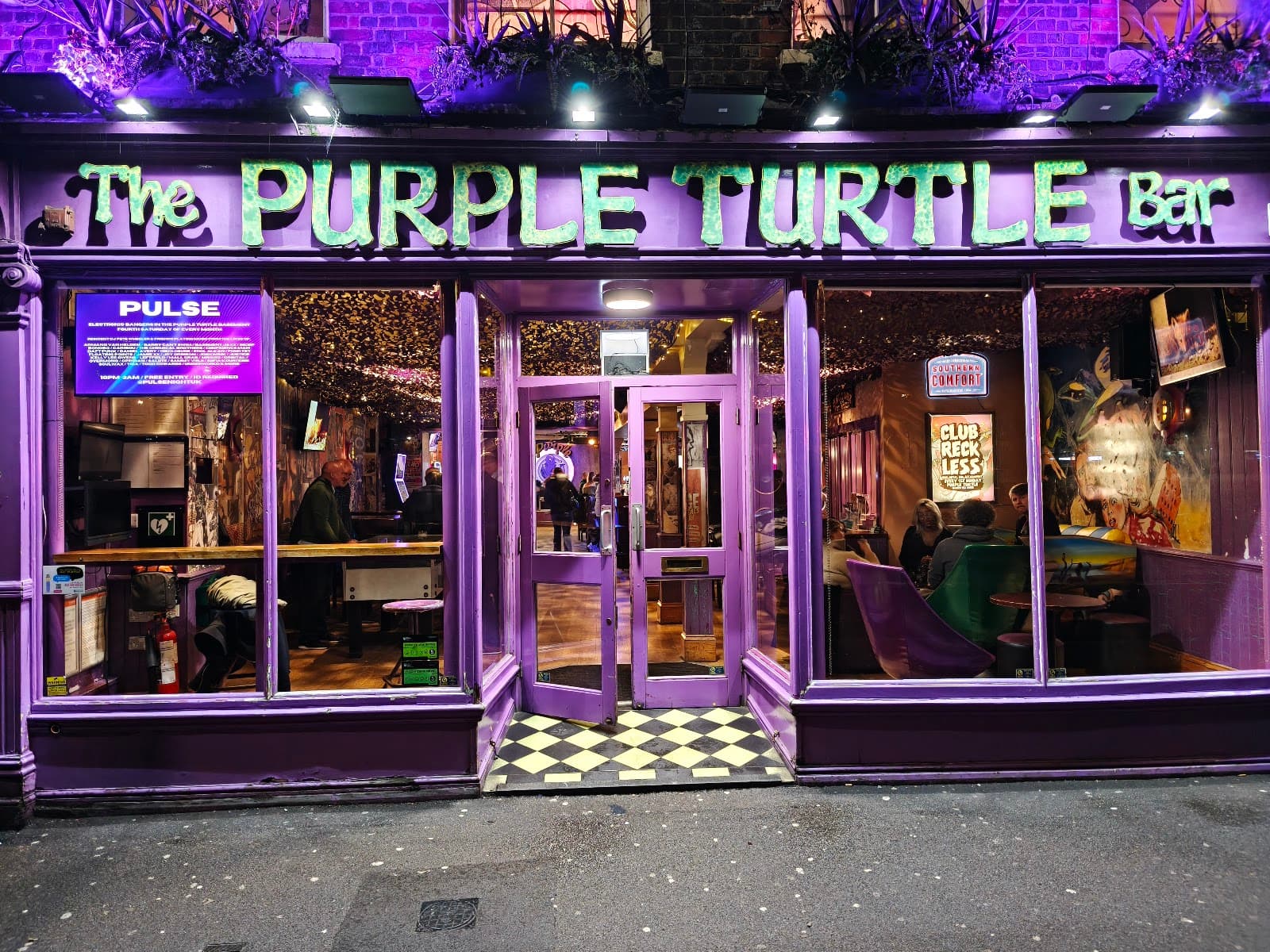 The Purple Turtle
