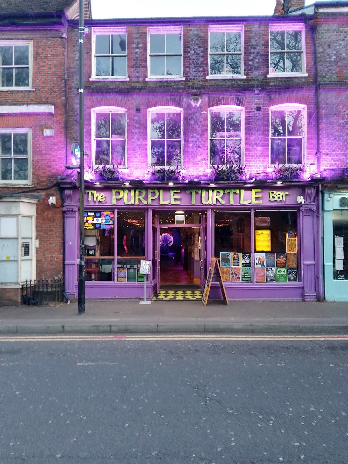 The Purple Turtle