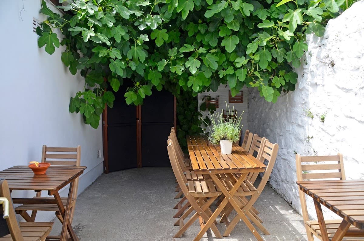 The Fig Tree @ 36