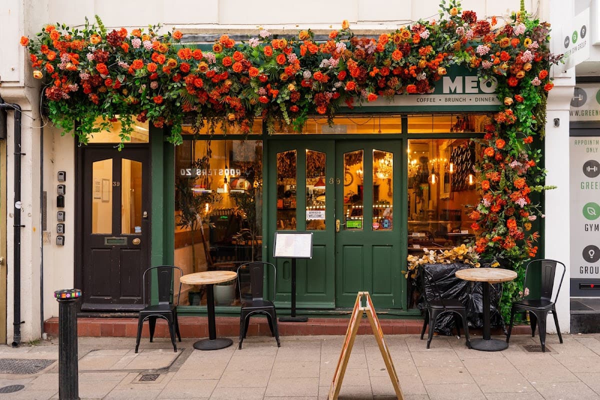 MEO Brighton