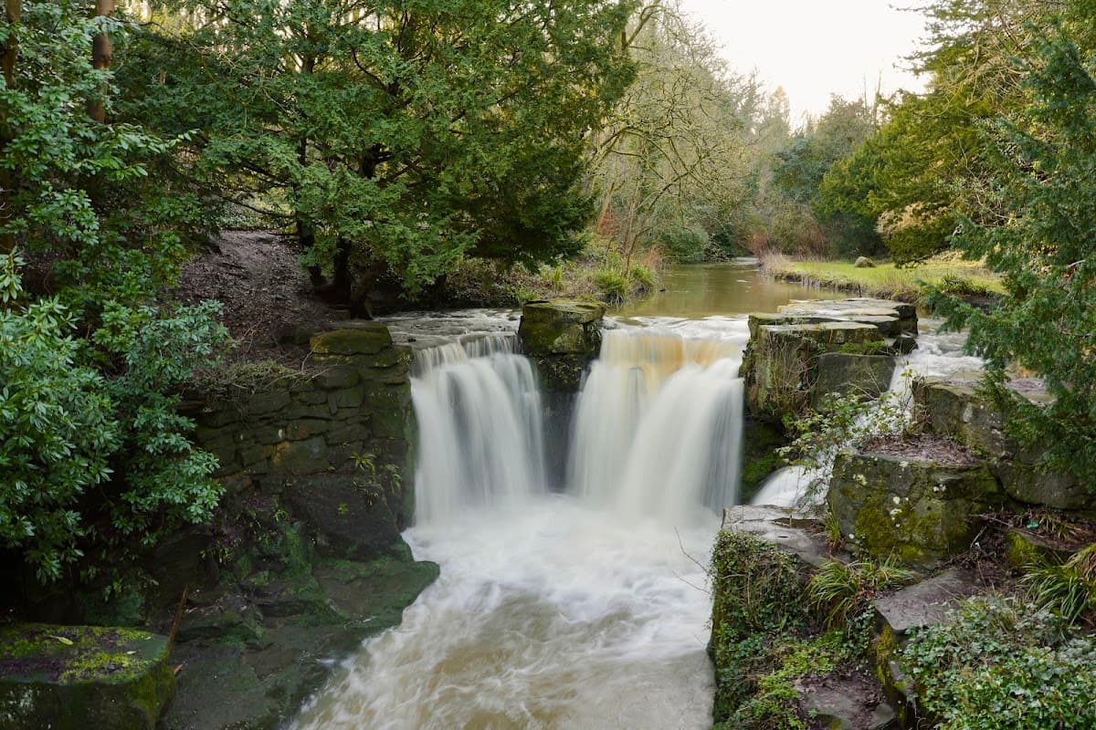 Jesmond Dene