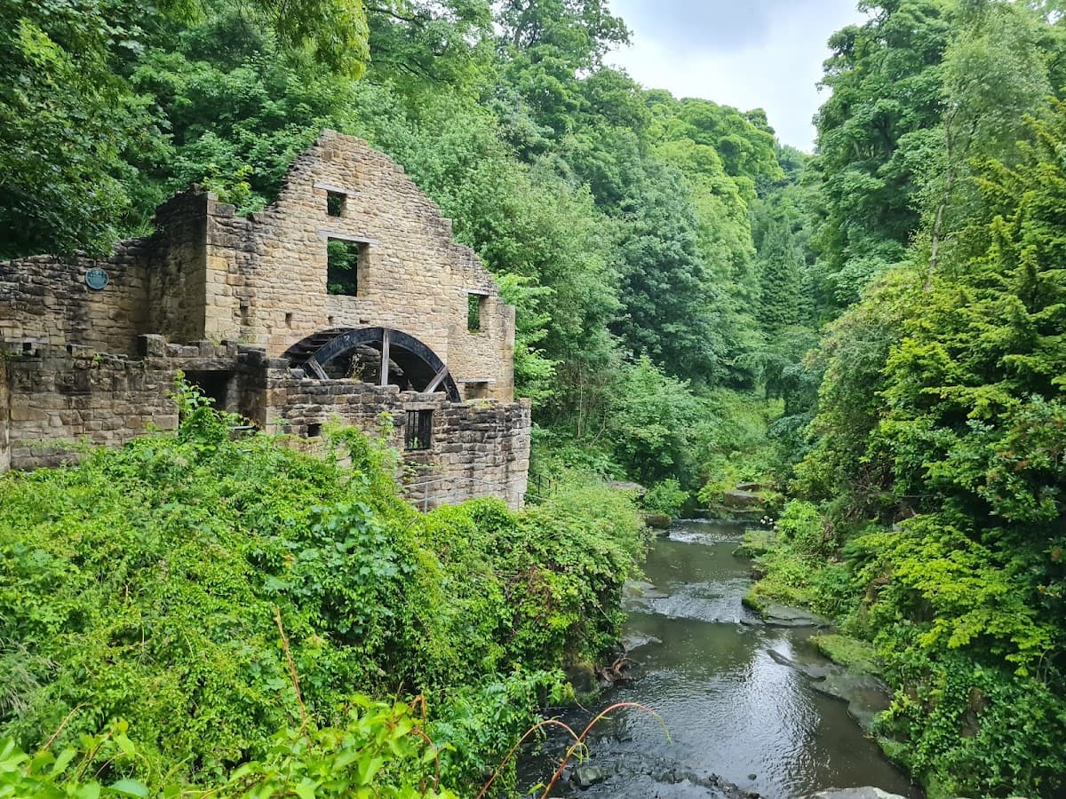 Jesmond Dene