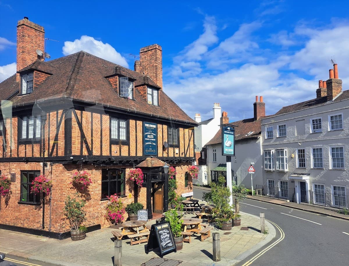 The Swan