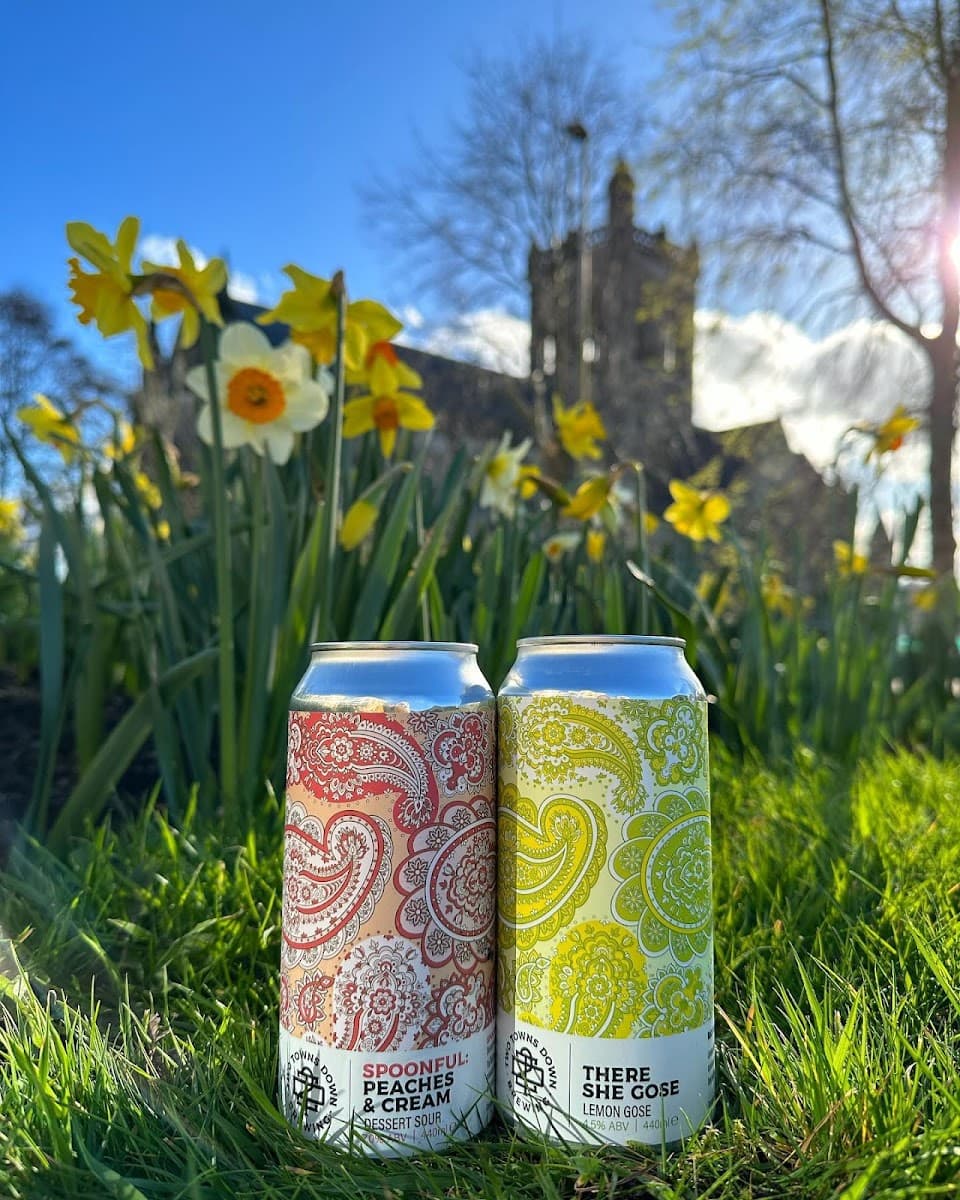 Two Towns Down Brewing