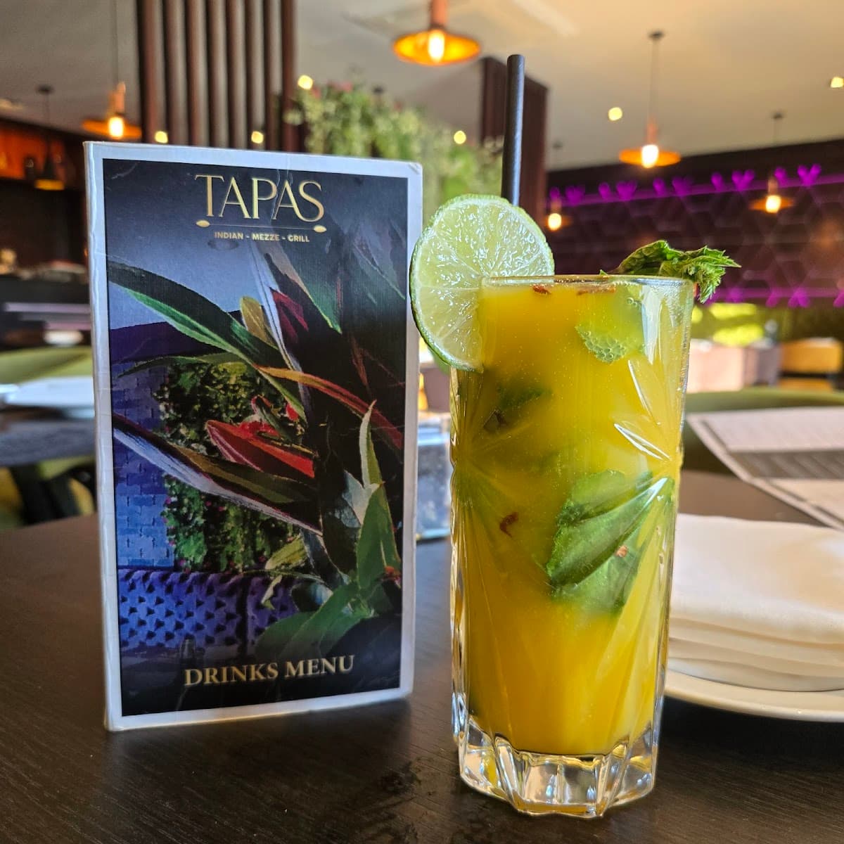 Tapas Indian Grill