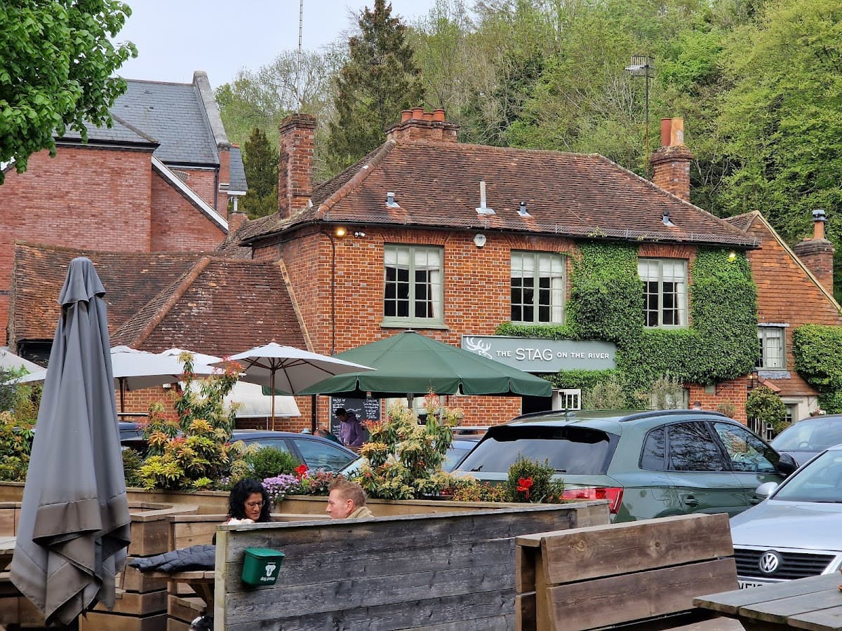 The Stag on the River
