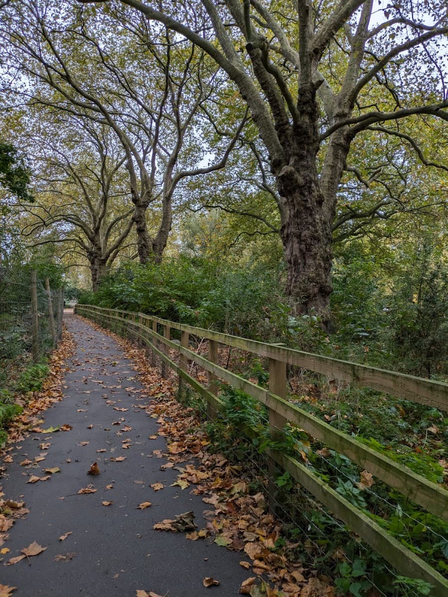 London Fields