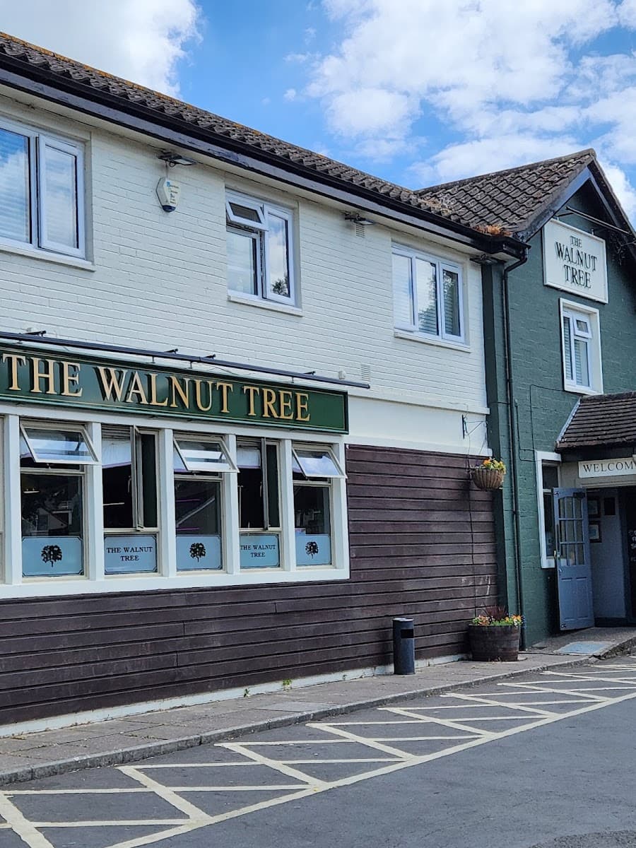 The Walnut Tree