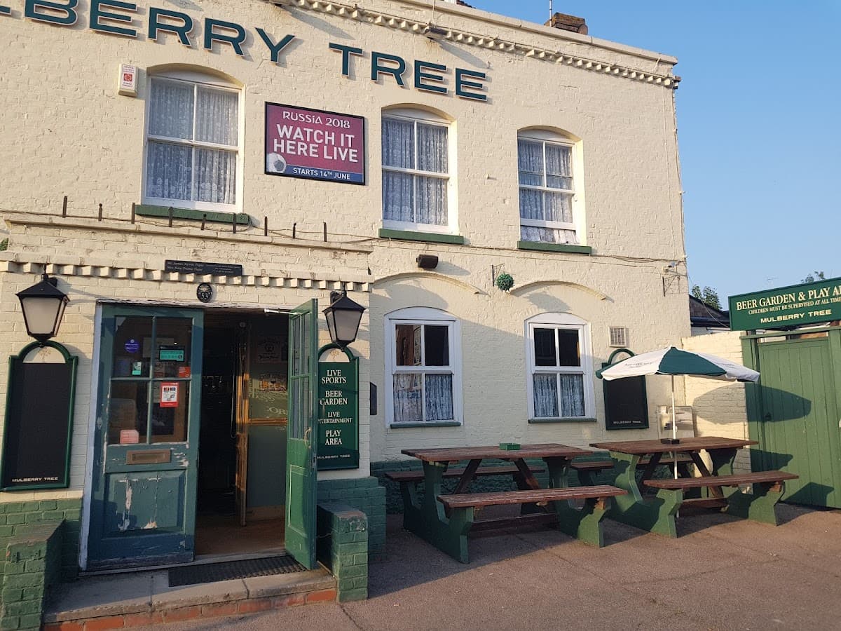The Mulberry Tree