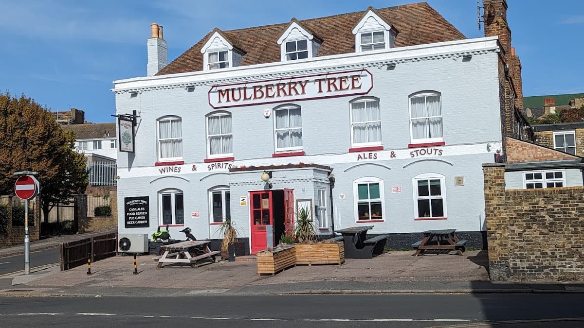 The Mulberry Tree
