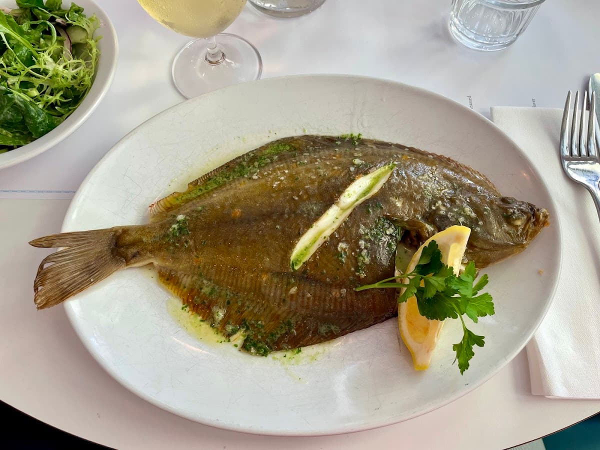 Rockfish