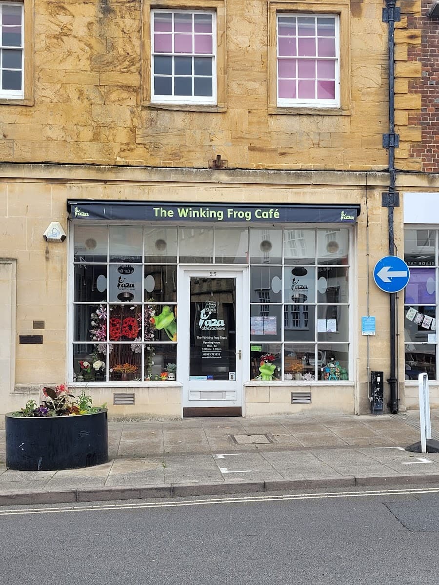 The Winking Frog