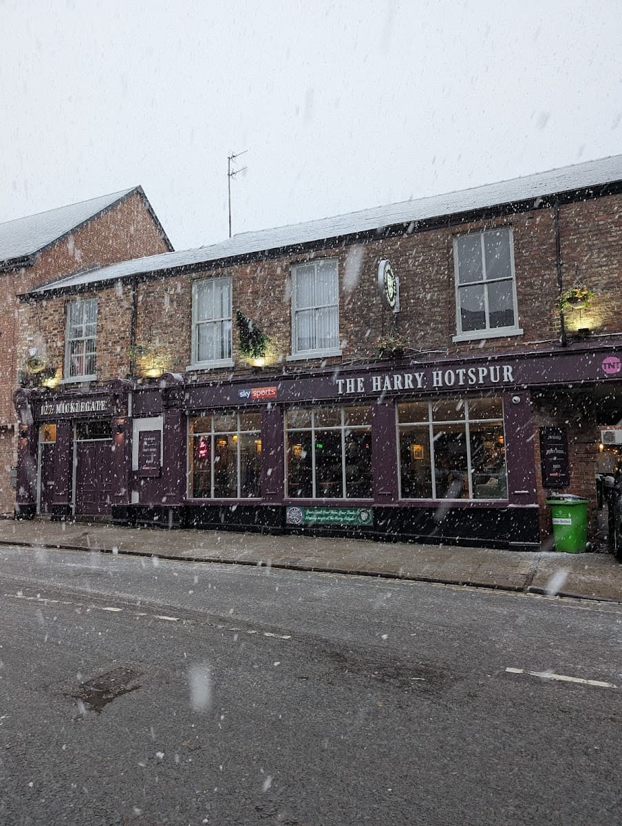 Harry Hotspur