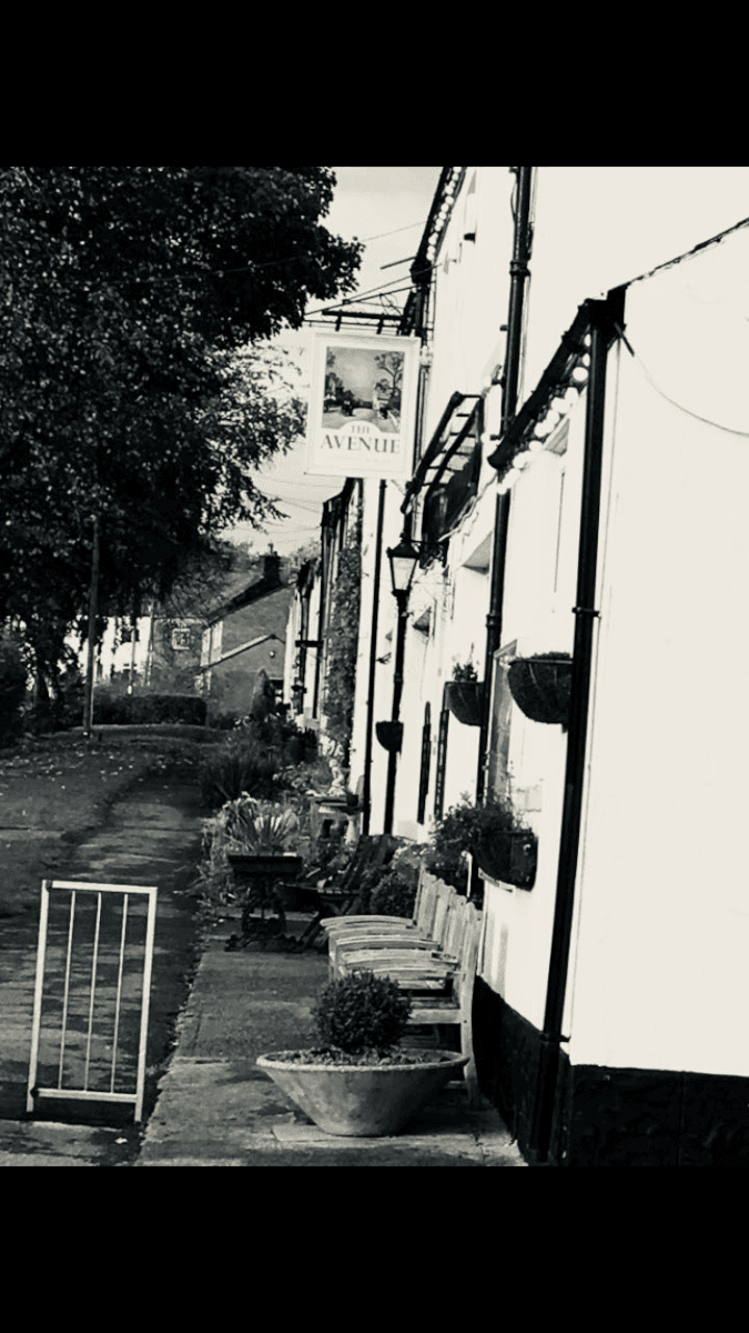 The Avenue