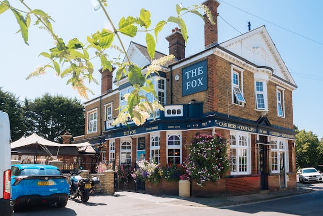 The Fox
