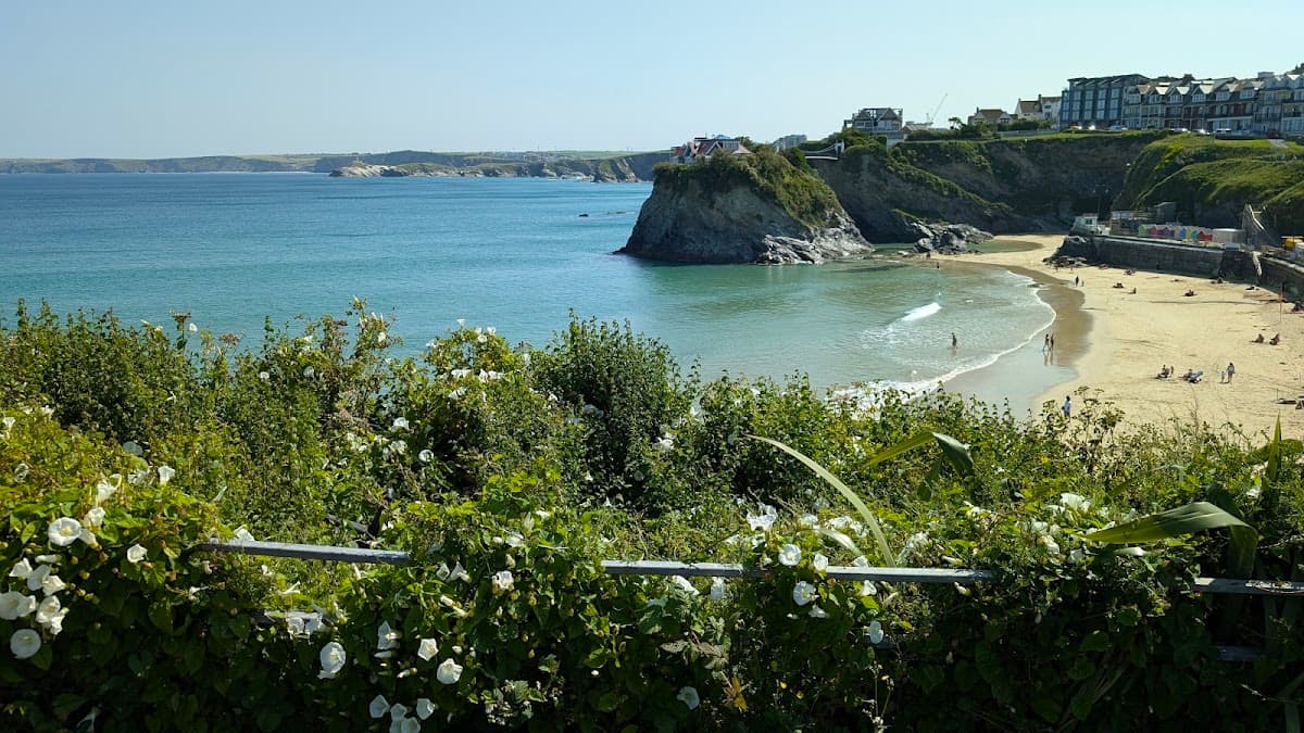 Walkabout - Newquay