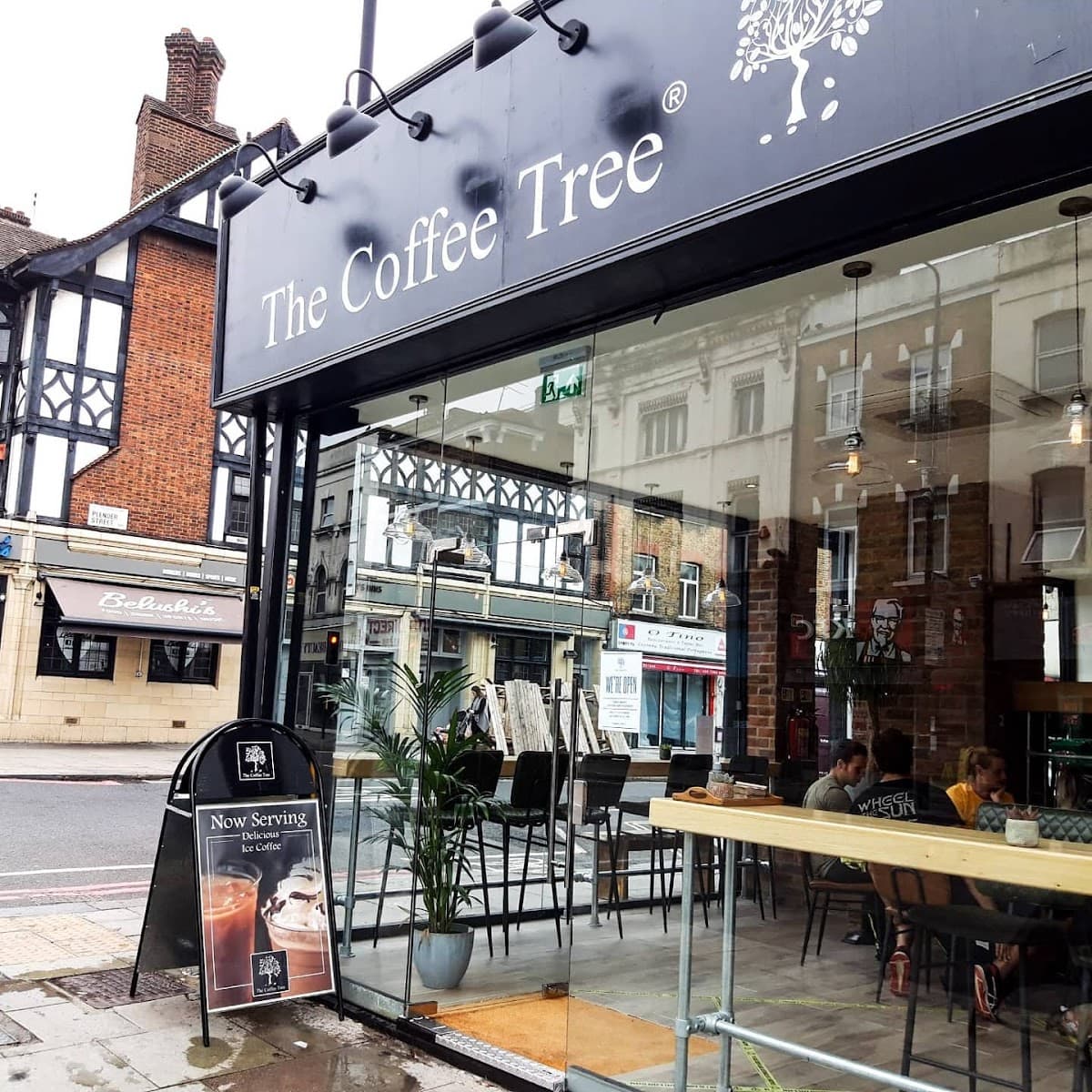 The Coffee Tree