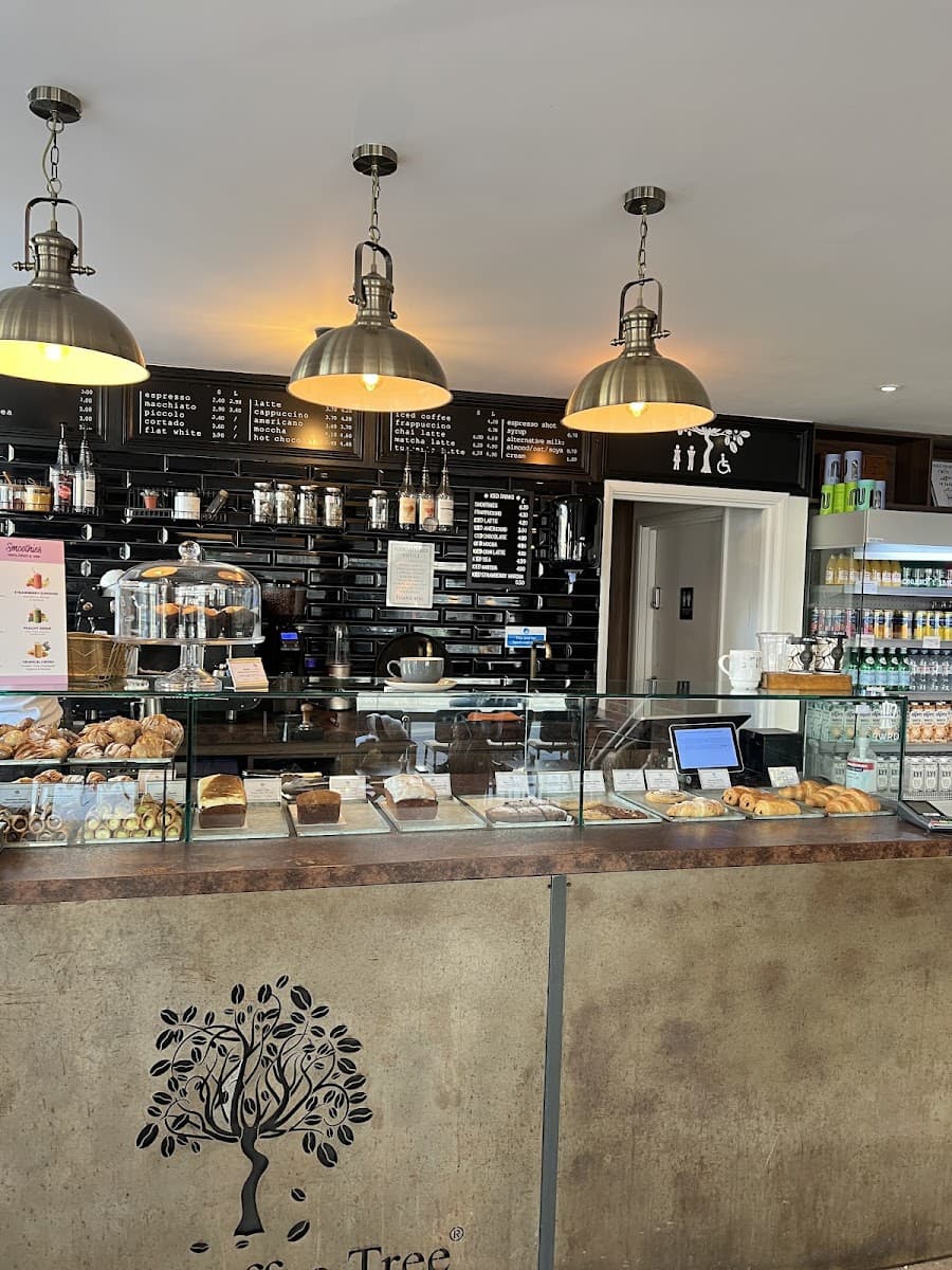 The Coffee Tree