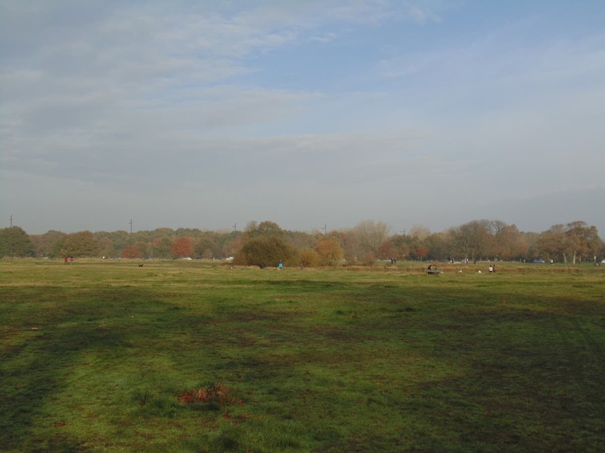 The Green