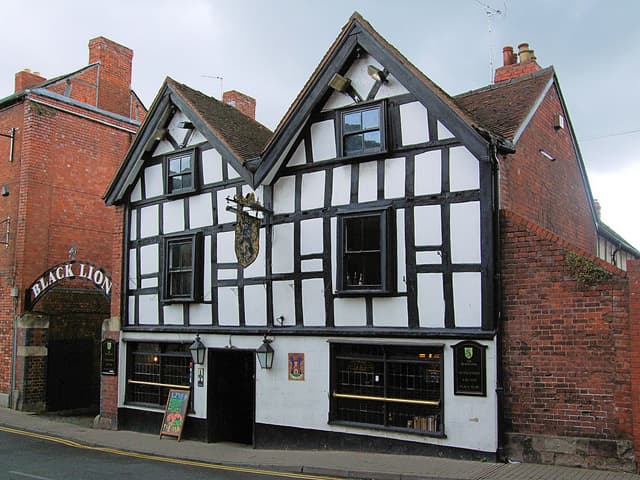 The Black Lion