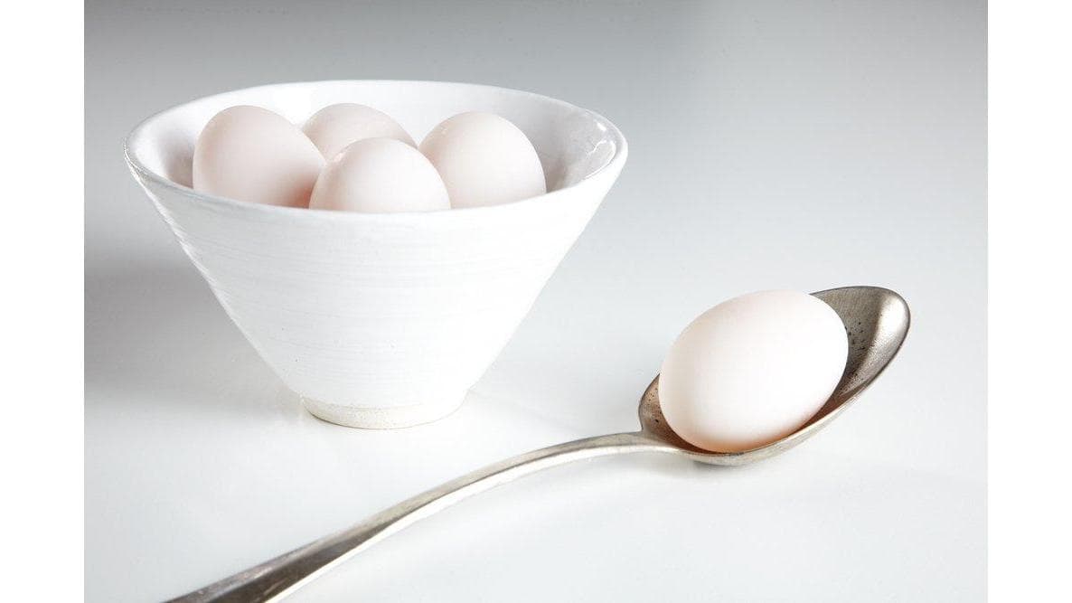 egg&spoon