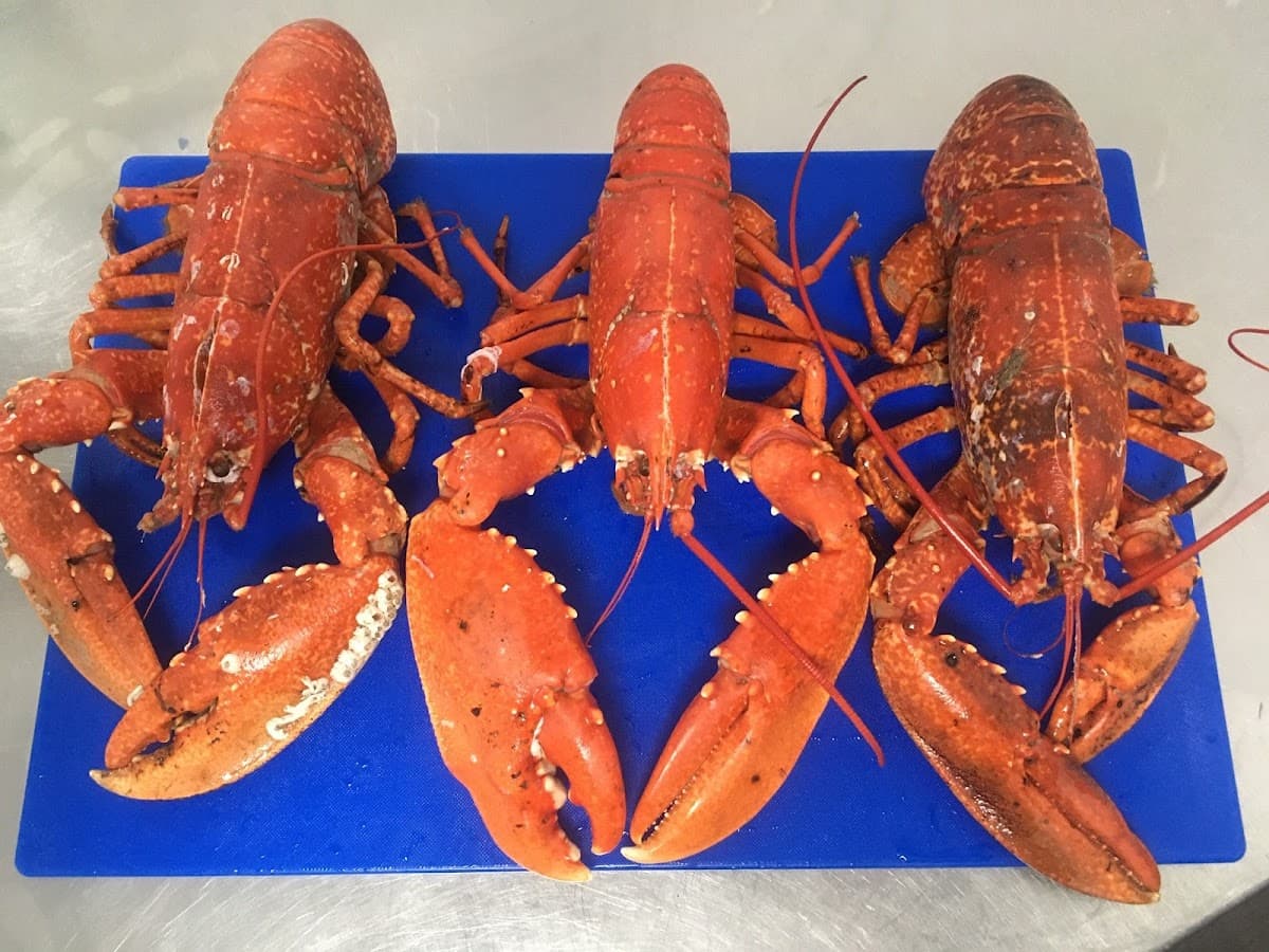 Catch of the Day Fishmongers and Fishermans Rest Cafe